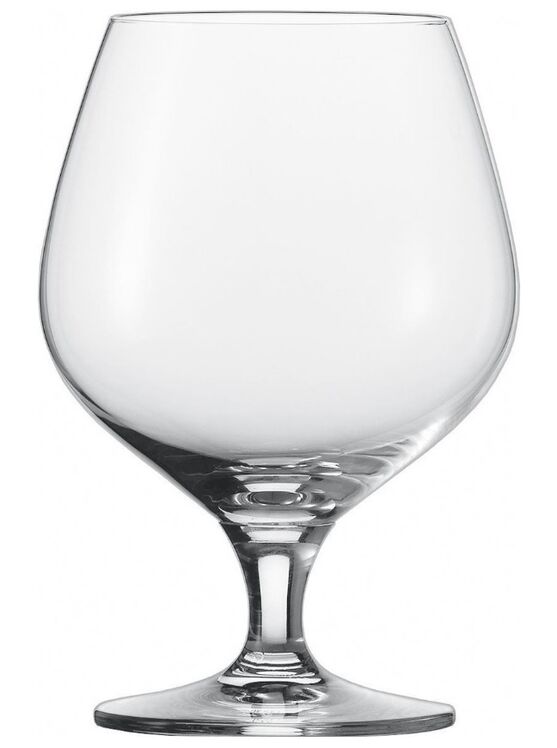 schott-zwiesel-mondial-cognacglas nr47