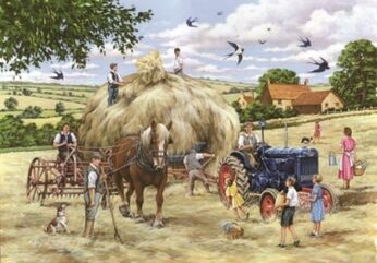 HOP Puzzel 500BIG - Making Hay