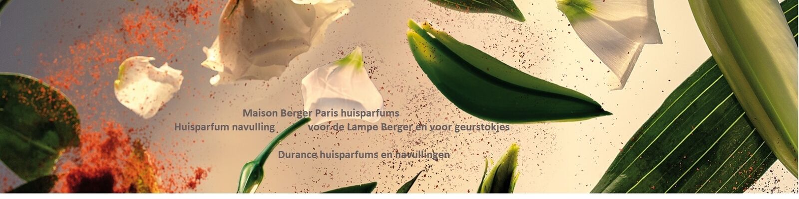 Lampe Berger - Durance huisparfum slide.jpg