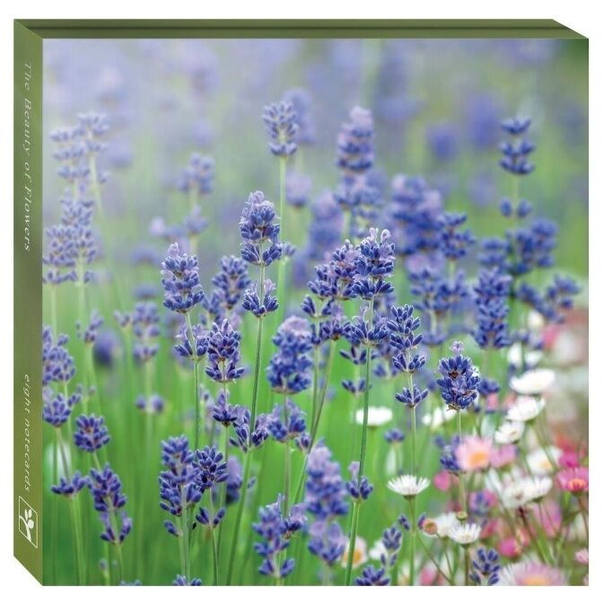 Wal11126 The beauty of flowers