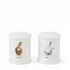 Wrendale designs Friends since egghood Salt and pepper pots Duck
