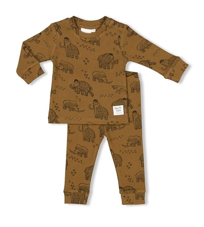 mannetje Onregelmatigheden Vertrouwen op Feetje Pyjama Marty Mammoth maat 128 - Onder de Lindeboom