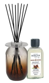 Berger geurstokjes Evanescence fauve gift