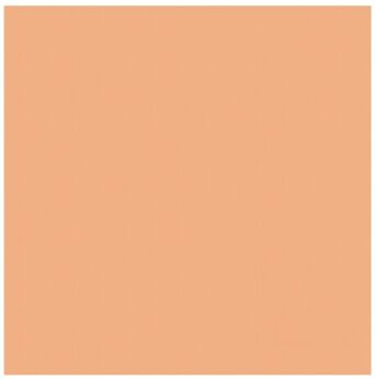 theedoek Barbeque Logo pastel Peach