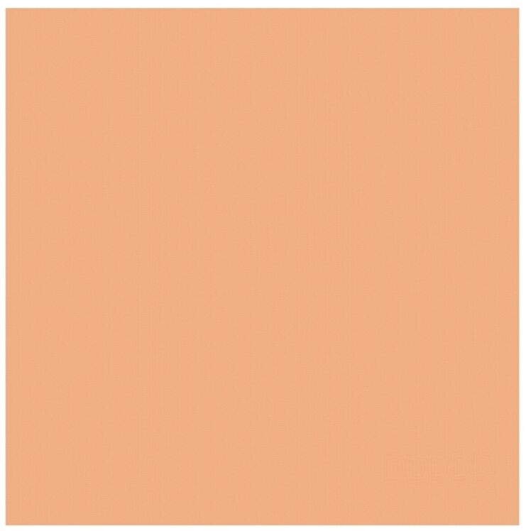 theedoek Barbeque Logo pastel Peach