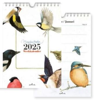 Marjolein Bastin 2025 - Onder de Lindeboom