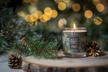 Kaars under the pine tree 1