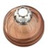 4852 Lampe Berger ECHO ROSE AMBREE DET