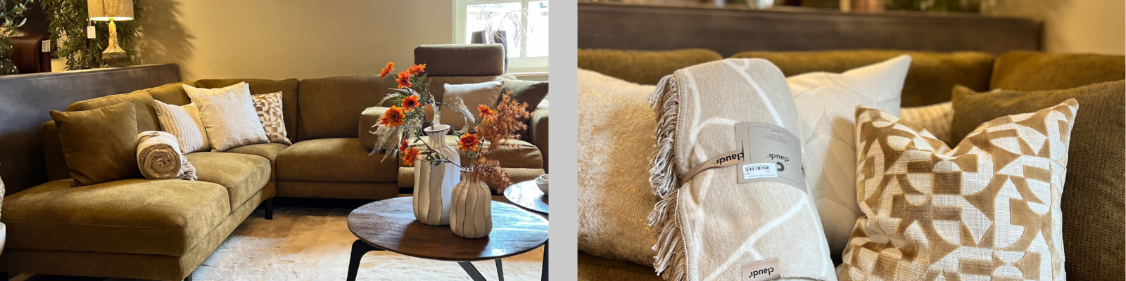 ODLB - horizontale header.png