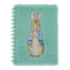 Peter Rabbit plush notebook