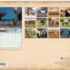 Cow Calender legacy kalender 2026 A
