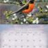 Peace of Tranquility legacy kalender 2026 B