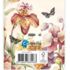 Janneke Brinkman zakagenda 2026 Orchidee A
