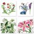 Billy Showel 8 notecards WAL77 168 4ass