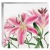 Billy Showel 8 notecards WAL77 168