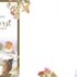 Marjolein Bastin 15 kerstkaarten Trio-box 2025 Roodborstje