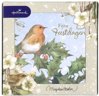 Marjolein Bastin Roodborstje 8 kerstkaarten met envelop