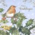 Marjolein Bastin Roodborstje kerstkaart met envelop