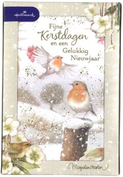 Marjolein Bastin Roodborstjes in Sneeuw 10 kerstkaarten met envelop