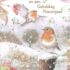 Marjolein Bastin Roodborstjes in Sneeuw kerstkaart met envelop