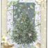 Marjolein Bastin Roodborstjes Kerstboom 10 kerstkaarten met envelop