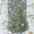 Marjolein Bastin Roodborstjes Kerstboom kerstkaart met envelop