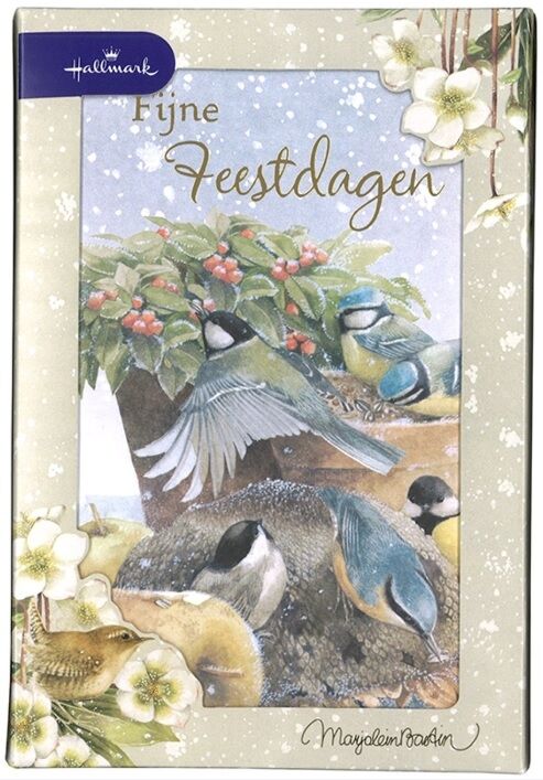 Marjolein Bastin Meesjes 10 kerstkaarten met envelop