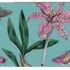 placemats Botanic garden flora&fauna