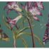 placemats Botanic garden flora&fauna1
