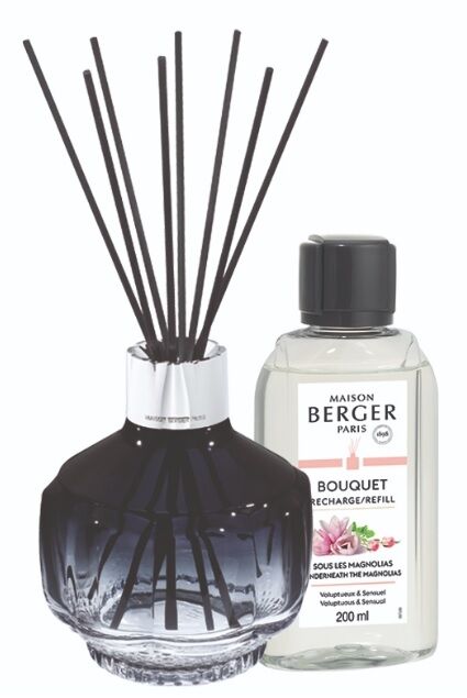 Berger geurstokjes Molecule blue gift