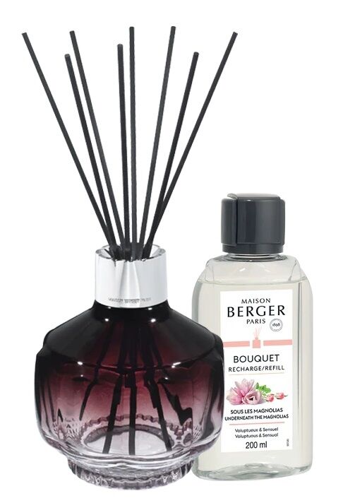 Berger geurstokjes Molecule prune gift