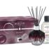 Berger geurstokjes Molecule prune giftset
