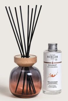 Berger geurstokjes Wood Noir-Rose set