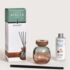 Berger geurstokjes Wood Vert-Prune giftset