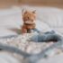 Little Dutch Forest Friends knuffeldoekje deco3