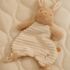 Little Dutch Baby Bunny knuffeldoekje deco1