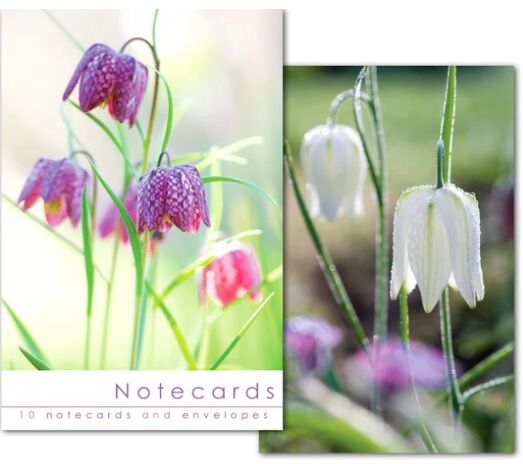 10 Notecards Leonard Smith Fritillaries.jpg