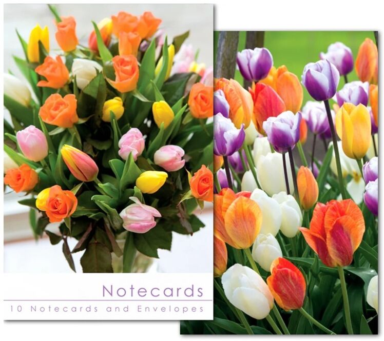 10 Notecards Leonard Colourful Tulips