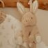 Little Dutch Baby Bunny muziekdoosje 3