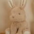 Little Dutch Knuffel Konijn 15cm Baby Bunny3