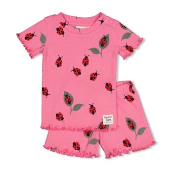 Lily Ladybug