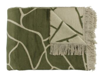 Claudi Plaid Lineas Olive