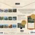 Beyond the Woods-Lang kalender 2027 a