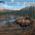 Beyond the Woods-Lang kalender 2027