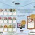 Birdhouses-Lang kalender 2027 a