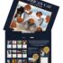 American Cat-Lang kalender 2027 h