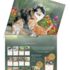 Cats in the Country-Lang kalender 2027 h