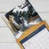 Love of Cats-Lang kalender 2027 l