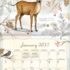 Field Guide-Lang kalender 2027 b