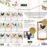 Proud Rooster-Lang kalender 2027 a